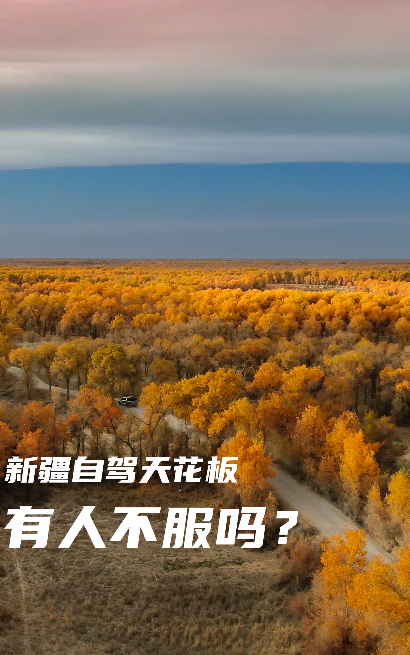 一个视频介绍新疆自驾天花板