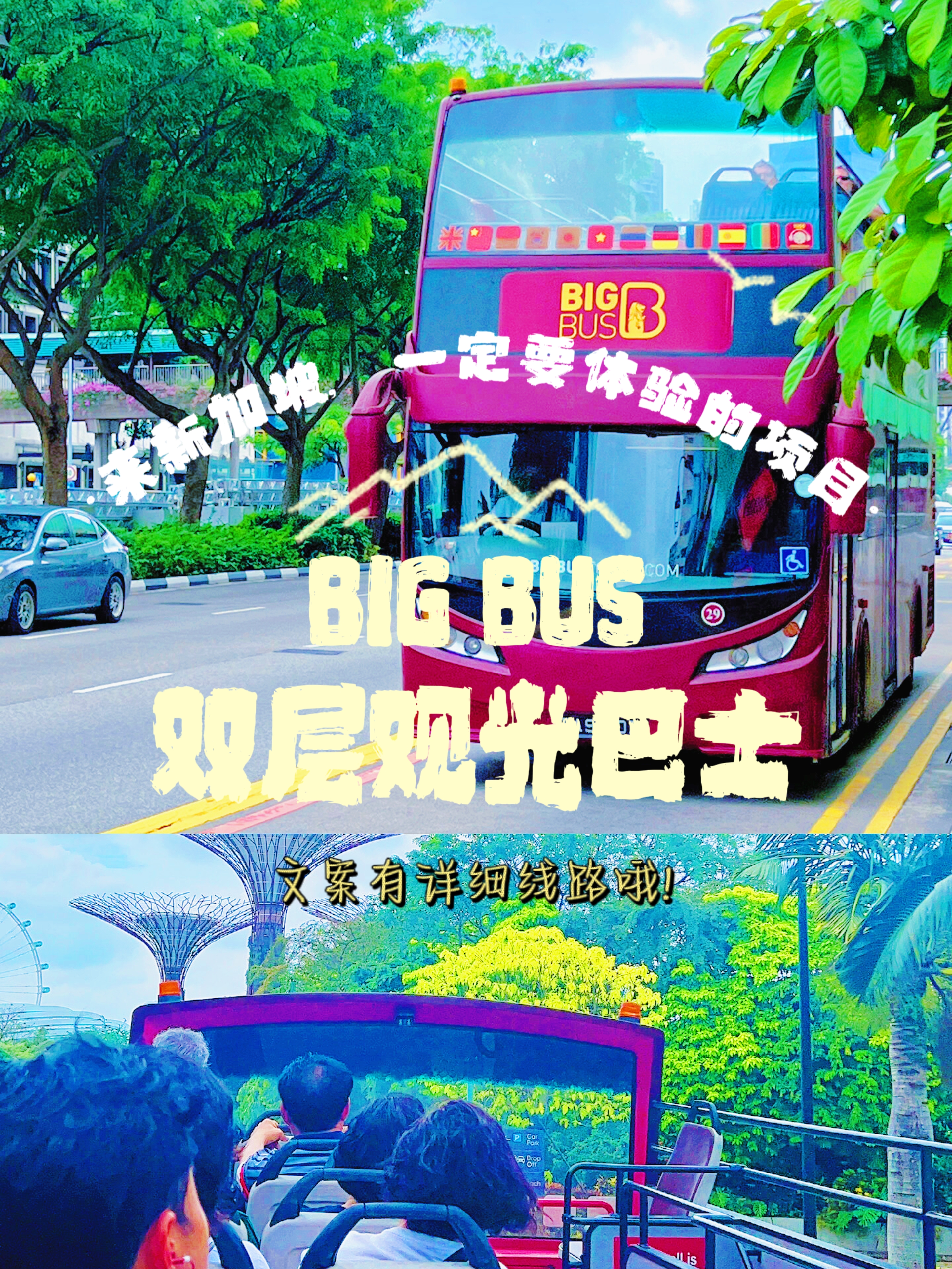 BIG BUS双层观光巴士丨轻松游遍新城