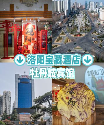 洛阳牡丹城宾馆(牡丹广场地铁站万达店)图片