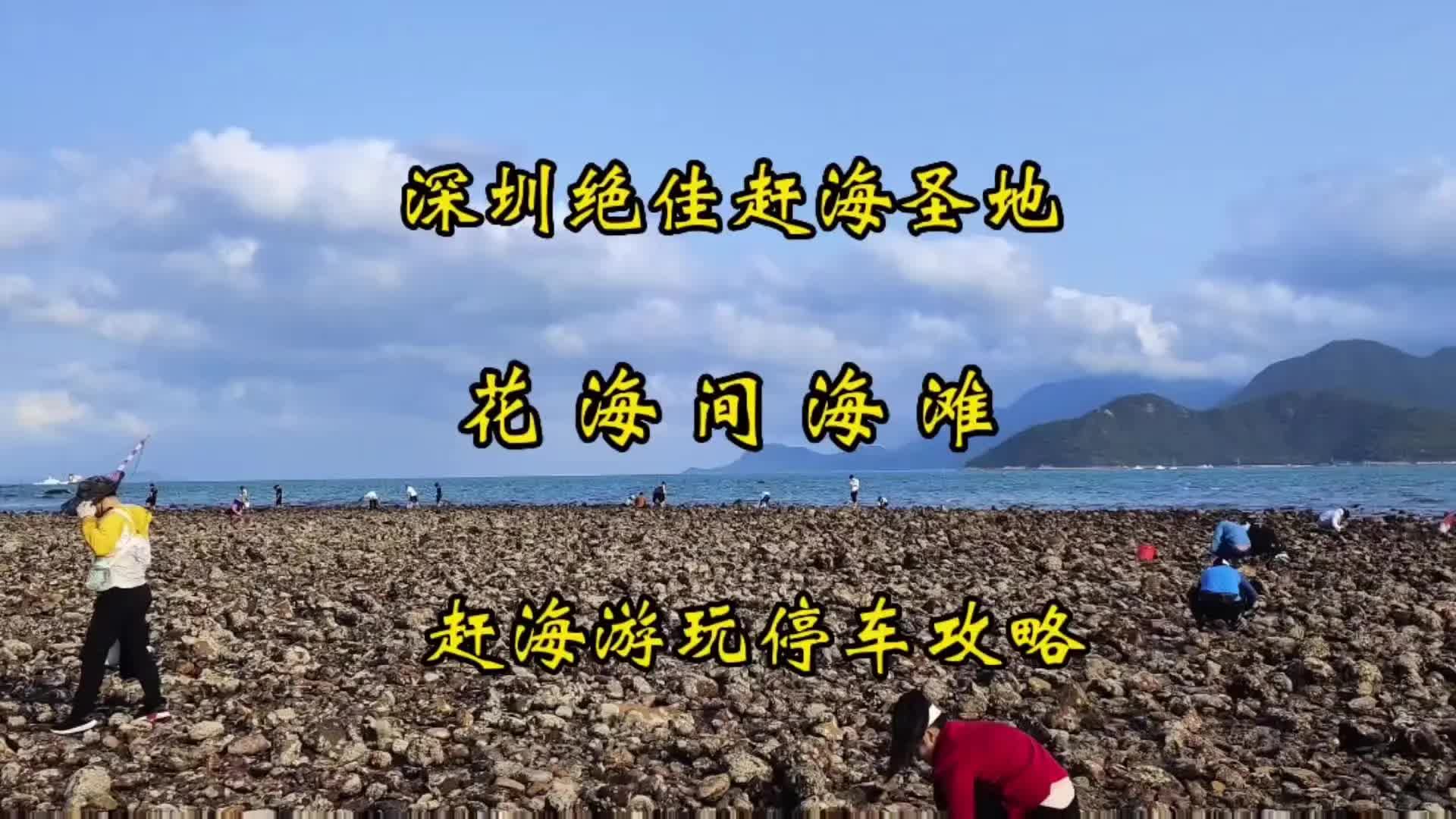 深圳绝佳赶海地—花海间海滩全视频攻略