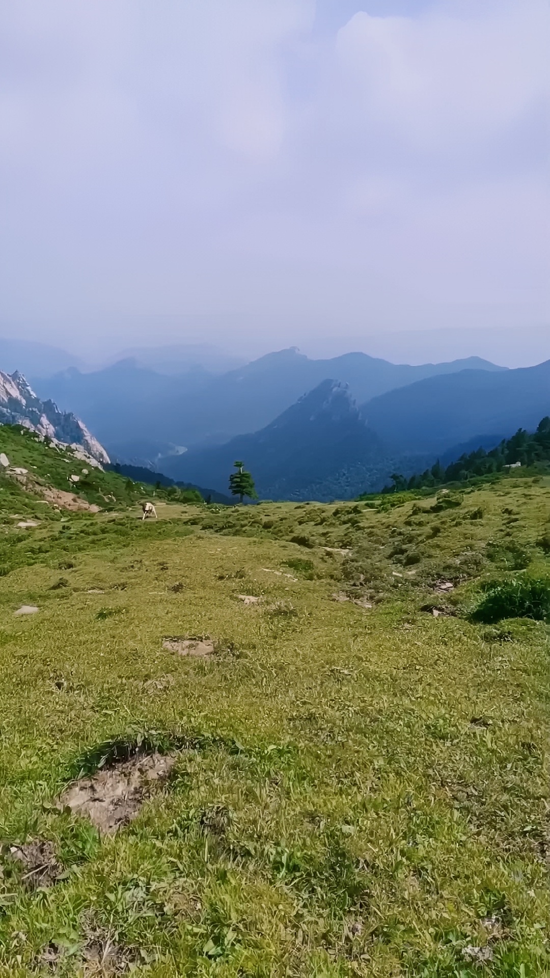 #一起享受大自然的美 芦芽山