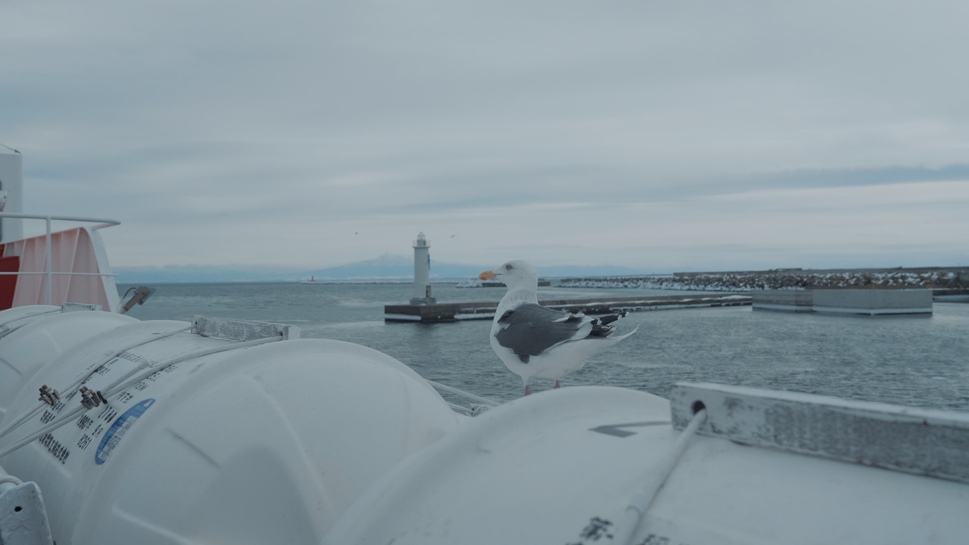 北海道冬日绝美的海洋流冰船