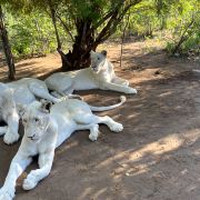 欧洲十年,我心依旧