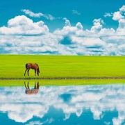 呼伦贝尔定制游包车