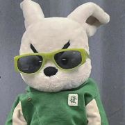 威威日记(旅行版