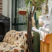 拉萨茉白富氧观景酒店