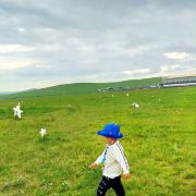 呼伦贝尔市智行旅行社