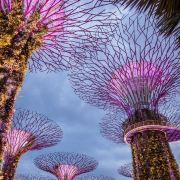 携程国旅新加坡私家团官方自营