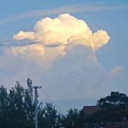 团团带你省钱游