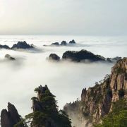 蛋蛋带你看世界