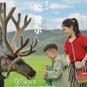 呼伦贝尔大草原趣哪里旅行