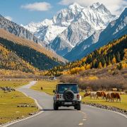 川西川藏定制包车游