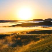 薯片带你逛世界