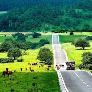 重庆山城周边游