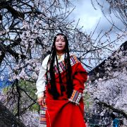 西藏当地司导谢红芬团队