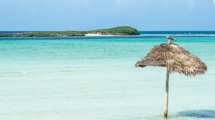 綠龜島 (Green Turtle Cay)