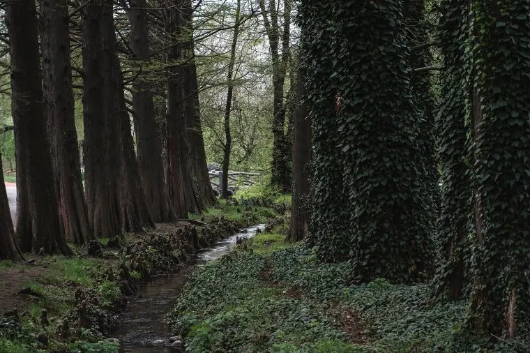 Hefei Arboretum
