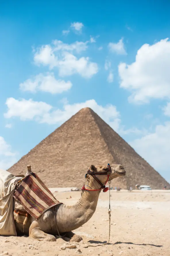 The Pyramid, Cairo
