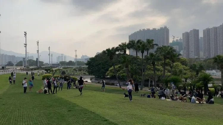 彭福公園有一大片草地