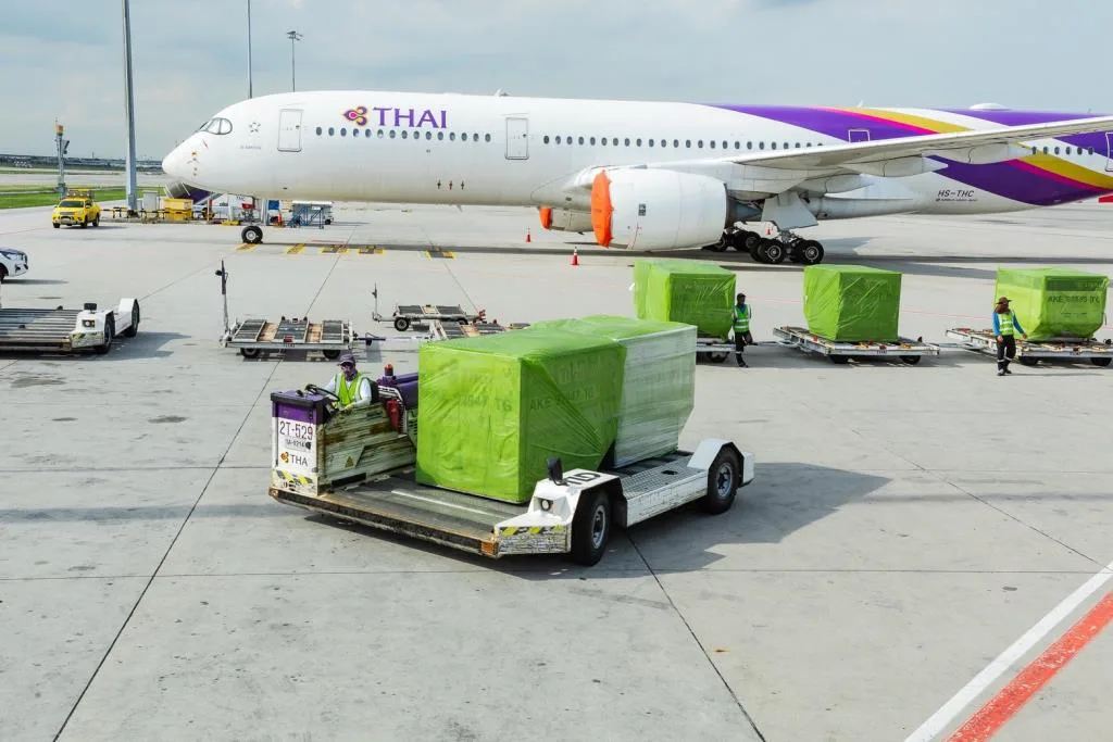 การบินไทยกระเป๋าตกค้าง