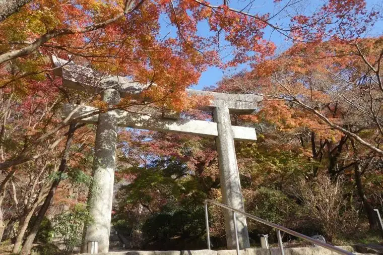 白色鳥居也是這次九州行程推薦之一