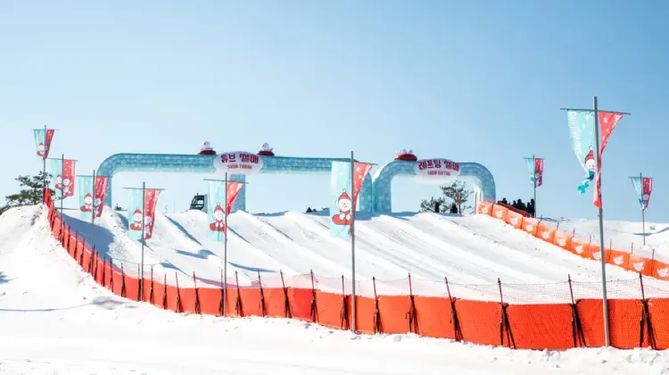 首爾滑雪場一日遊