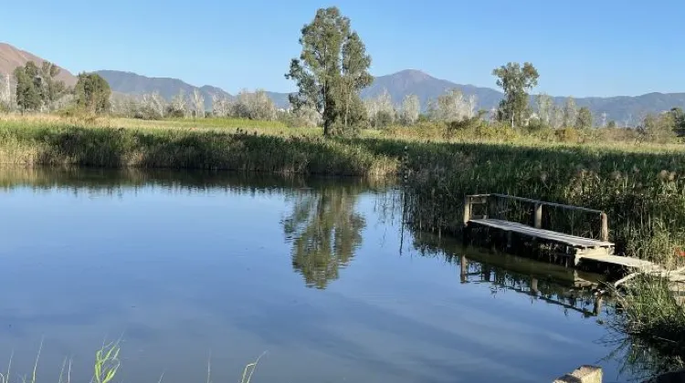 很多古裝劇都曾在婚紗橋取景