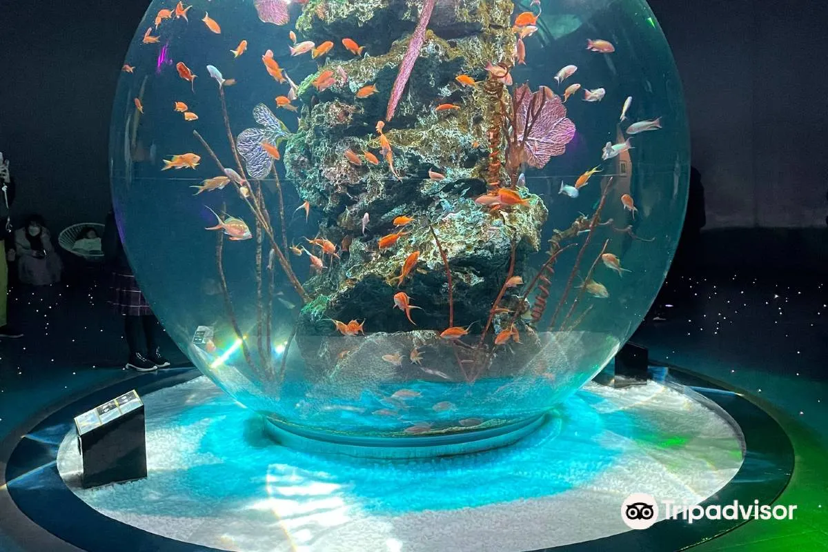 神戶景點 #11 神戶港博物館|親子