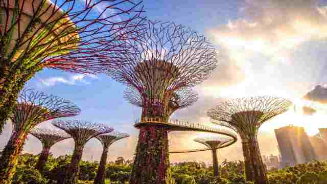 Gardens by the Bay Ticket