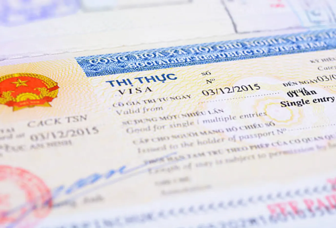 【越南簽證種類】越南簽證有哪些類型？ | Vietnam eVisa