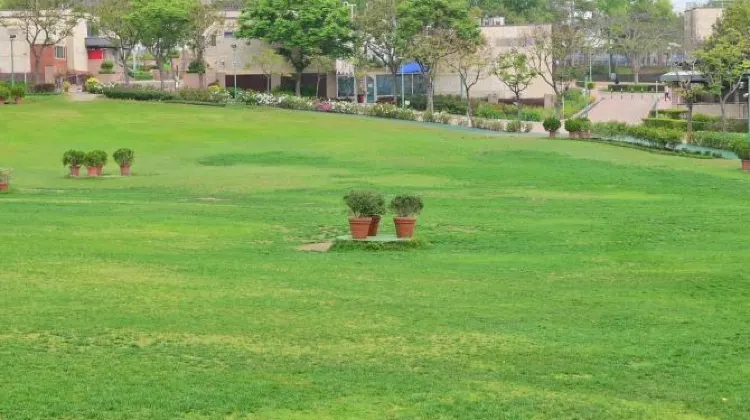 公園有十萬平方公尺的草坪