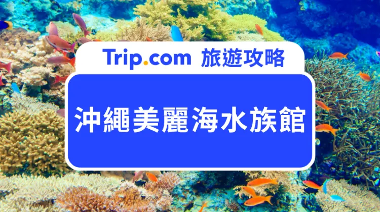 沖繩美麗海水族館是