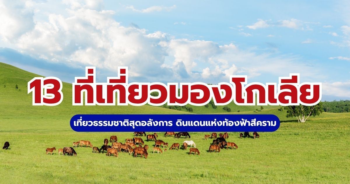 13 ที่เที่ยวมองโกเลีย 2569 สัมผัสธรรมชาติสุดอลังการ | Trip.com