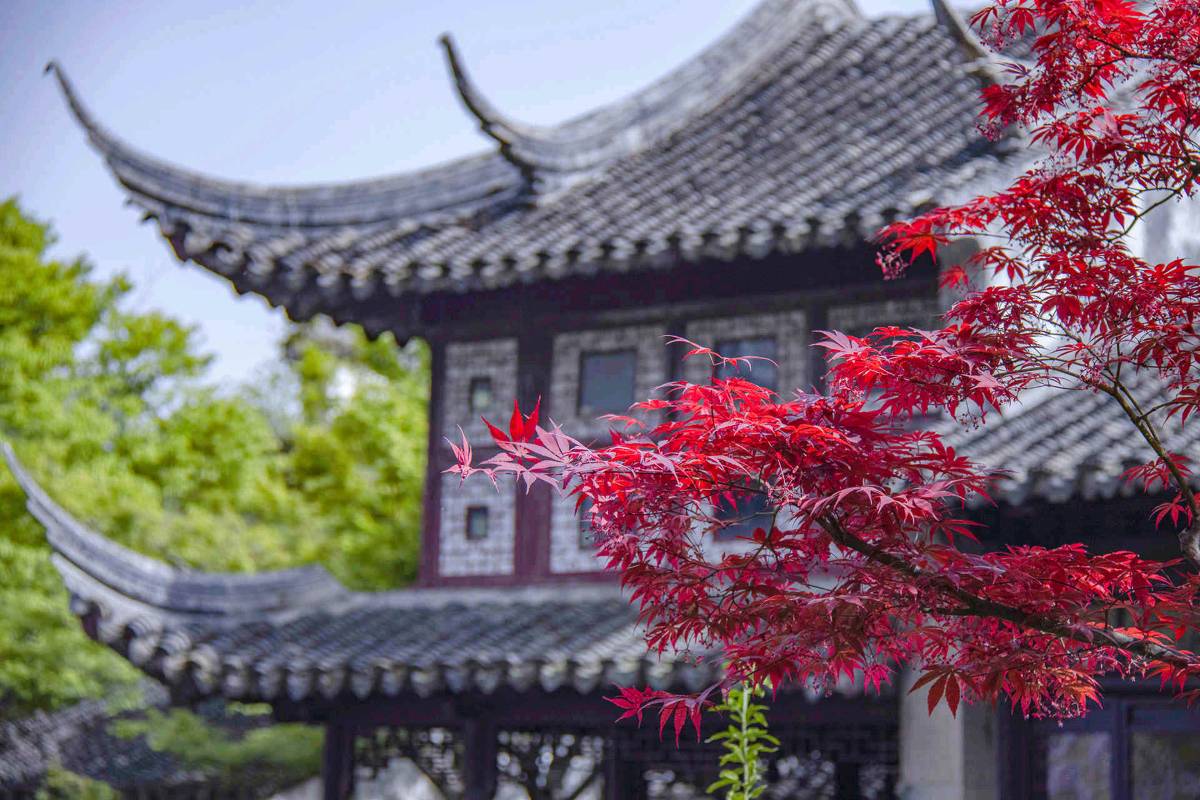 สวนหลิว