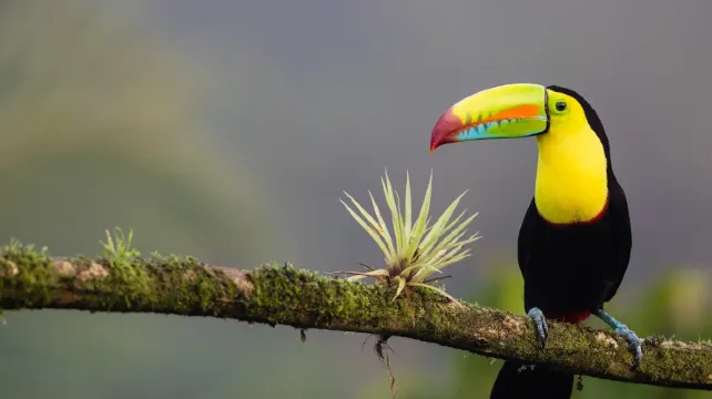 Costa Rica offers a range of natural experiences that you can enjoy at a minimum cost.