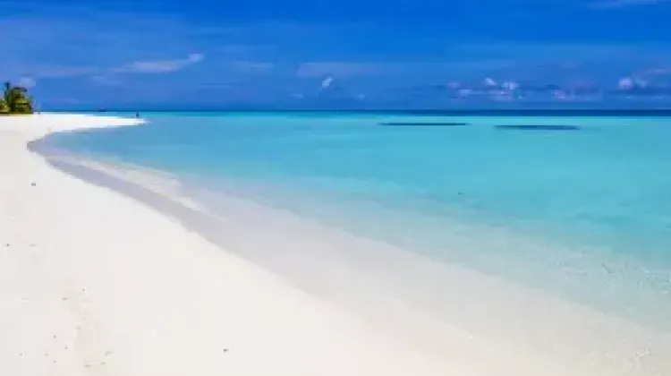 馬爾地夫的白色沙灘