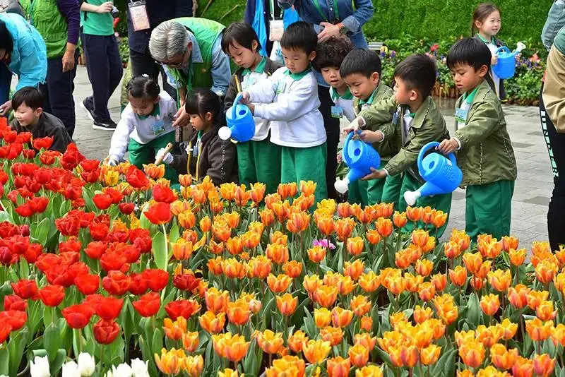 最近一屆的實體花卉展覽已是2019年所舉辦的。（圖片來源：康文署香港花卉展2019網頁）
