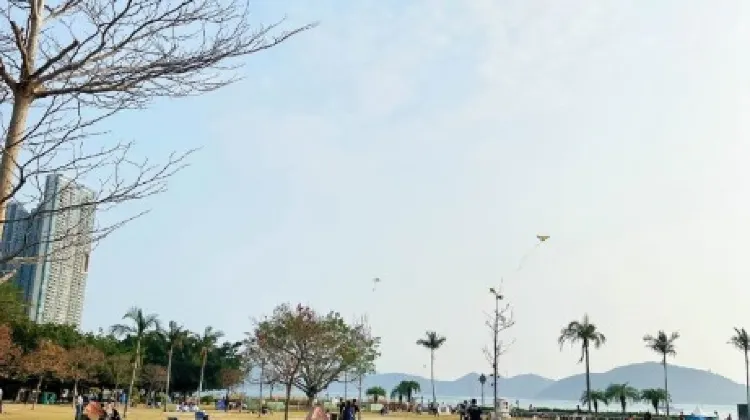 假日有不少人野餐和放風箏