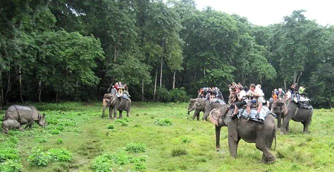Chitwan Jungle Safari, Madi