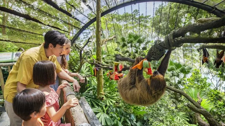 新加坡動物園