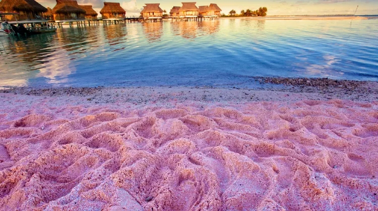 粉色沙灘 (Pink Sands Beach)