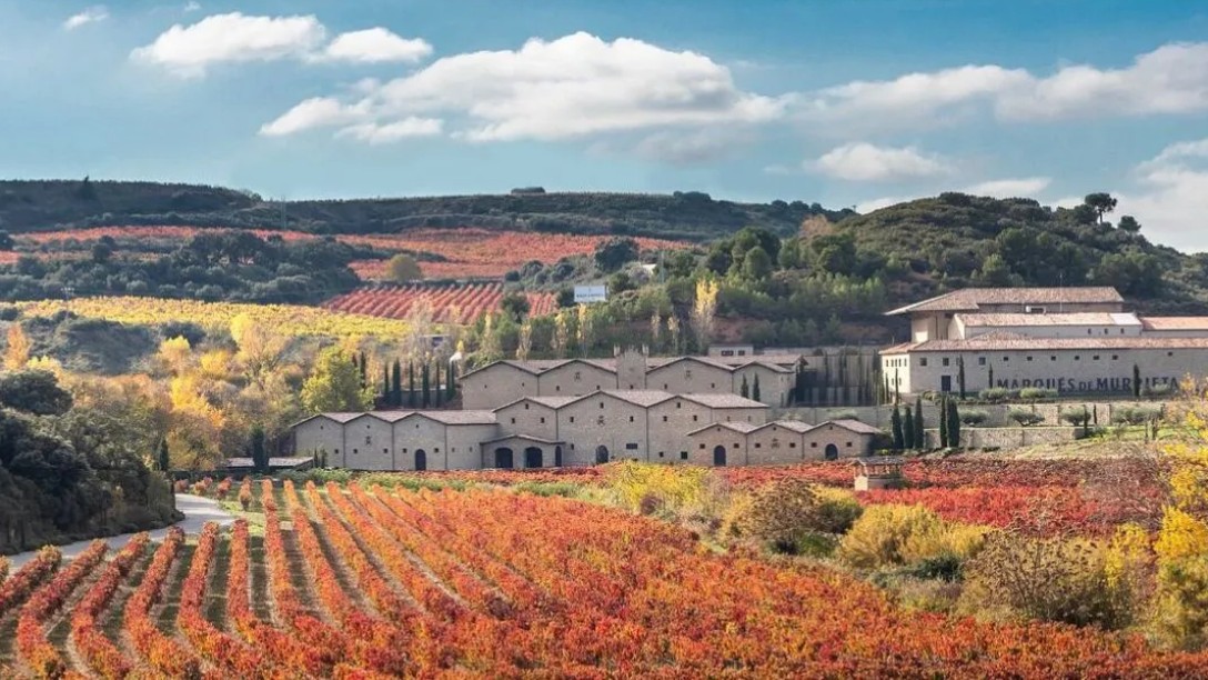 La Rioja y sus viñedos