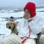 小鲨鱼打卡日记