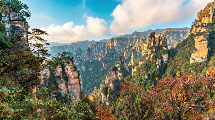 4-Day Zhangjiajie  Private Tours: Twin Forest Parks & Grand Canyon Karst Scenery