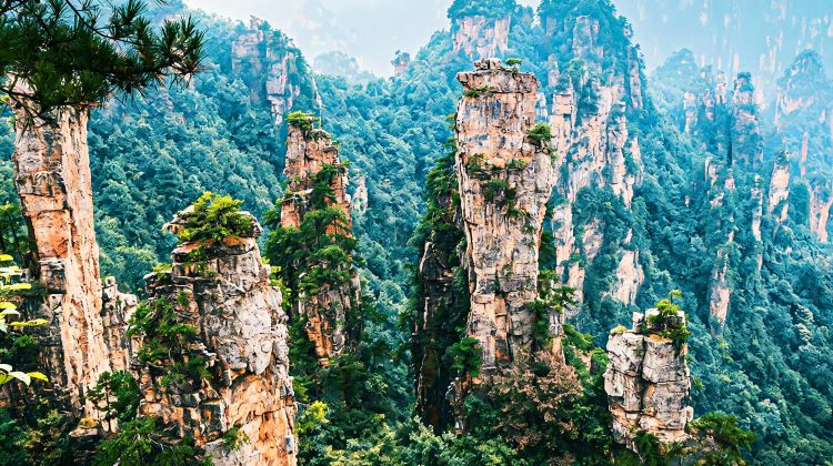 6-Day Chongqing + Zhangjiajie + Tianmen Mountain National Forest Park