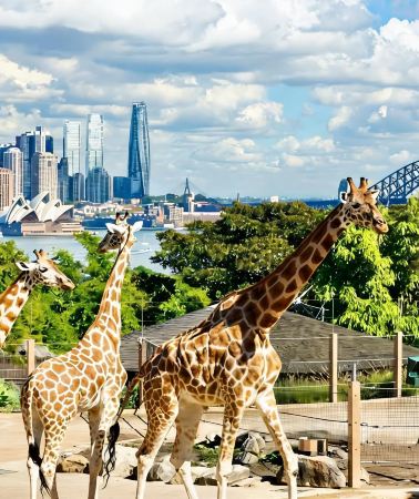 8D6N • The dream combo: Australia & Sydney – one country, one iconic city