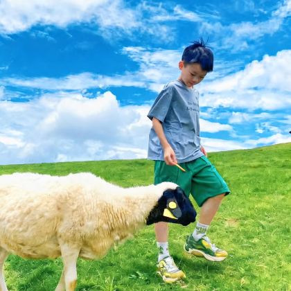 郴州+东江湖旅游区+高椅岭旅游区4日3晚私家团