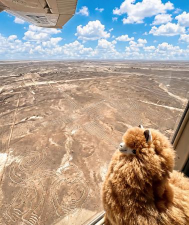 2D1N • From Lima: Nazca Lines Flight, Paracas, and Huacachina