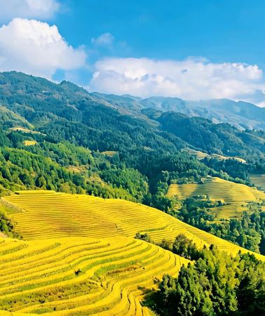 6D5N • Included round-trip HSR tickets between Guangzhou & Guilin: Yangshuo + Longji Rice Terraces: hiking along the Li River 