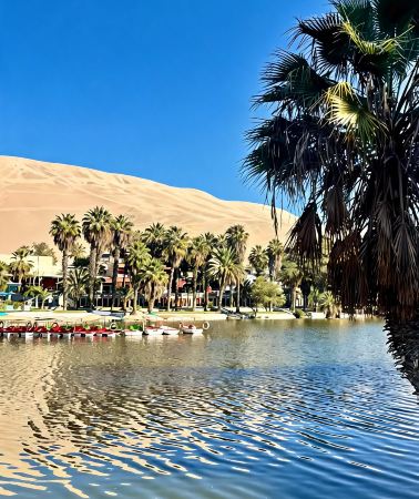 3D2N • From Lima: Paracas, Huacachina Oasis & Pisco Vineyard